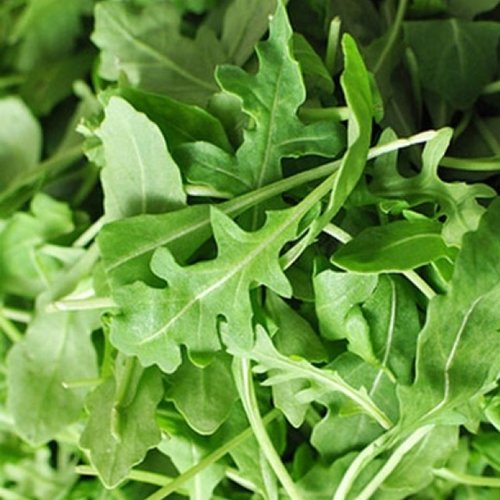 rau xà lách rocket giàu vitamin C