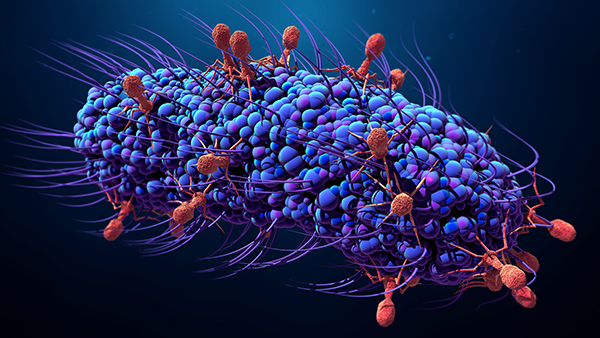 virus tốt là gì