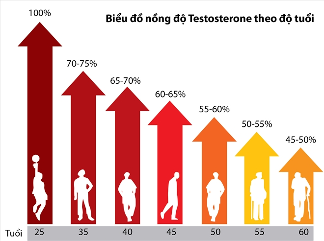 nồng độ testosterone ở nam giới