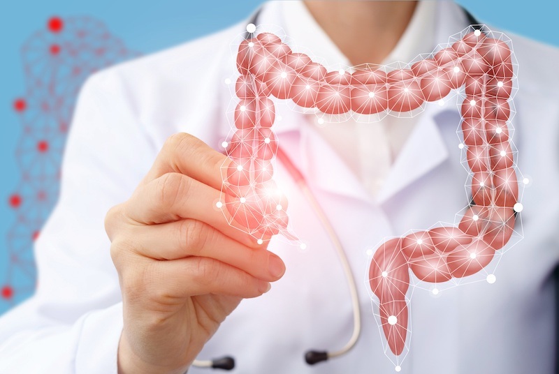 lợi khuẩn và việc chống béo phì