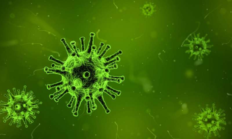 nguồn gốc virus